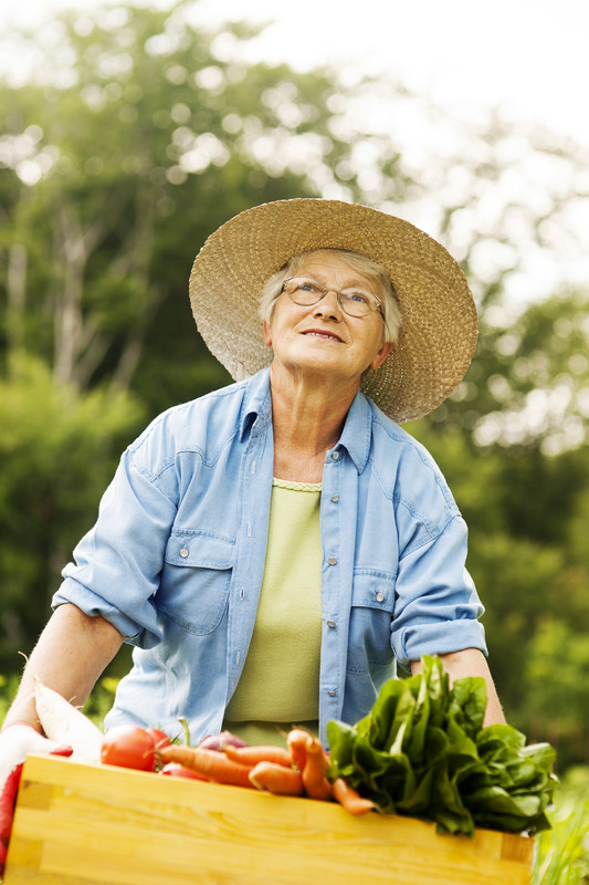 Senior woman working in garden | Comfort Keepers Calgary | BLOG POST | Low-Impact Gardening for Seniors