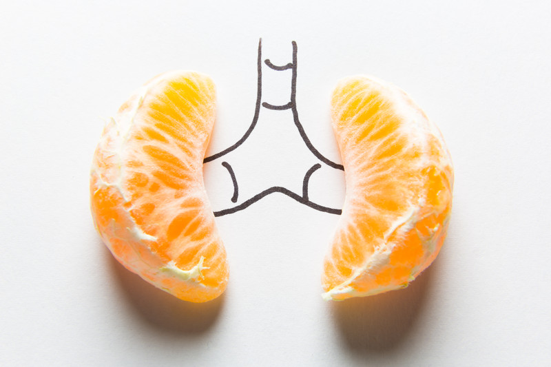 Diagram of kidneys represented by orange slices | Comfort Keepers Calgary | BLOG POST | How to Manage Kidney Disease in Seniors