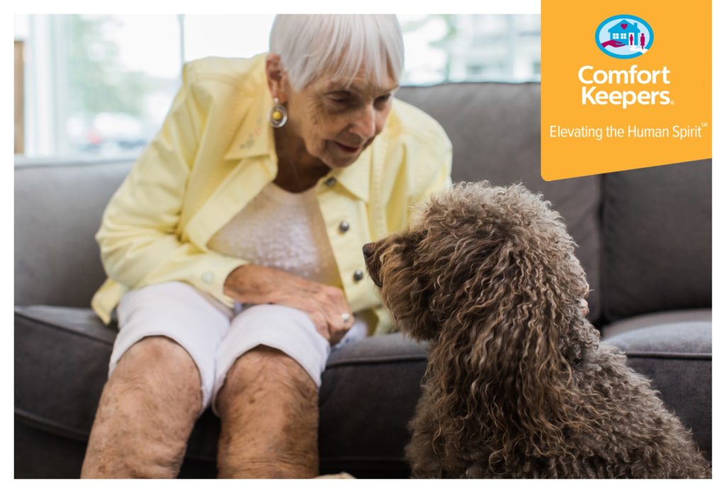 Senior woman seated on couch talking to a dog | Comfort Keepers Calgary | BLOG POST | Why Immunizations are crucial for your aging loved one