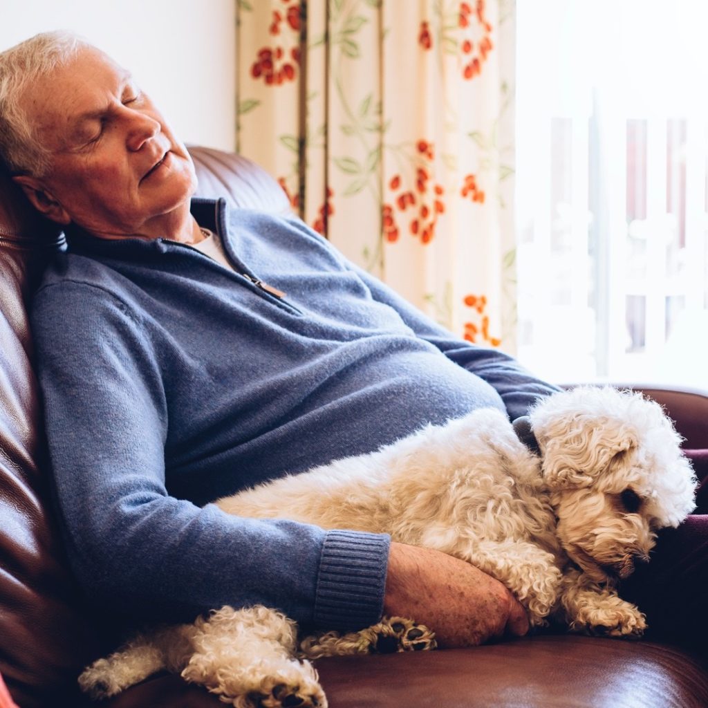 Senior male sleeping on couch with dog | Comfort Keepers Calgary | Seniors and Sleep: How Much Do They Need? | BLOG POST