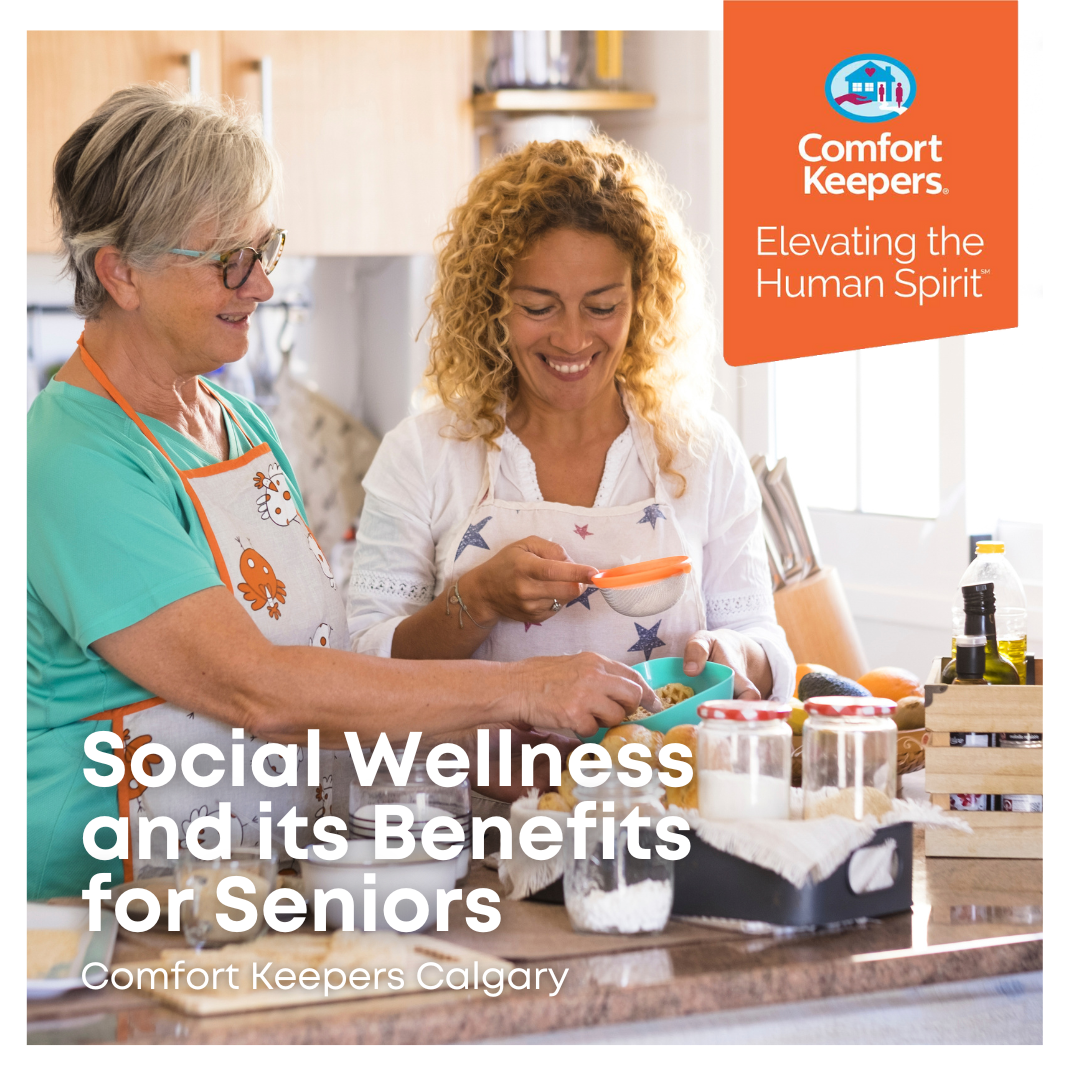 Social Wellness and Its Benefits to Seniors