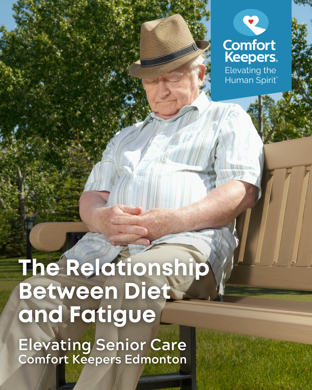 Senior male sleeping on park bench | The Relationship Between Diet and Fatigue | Comfort Keepers Edmonton | BLOG POST