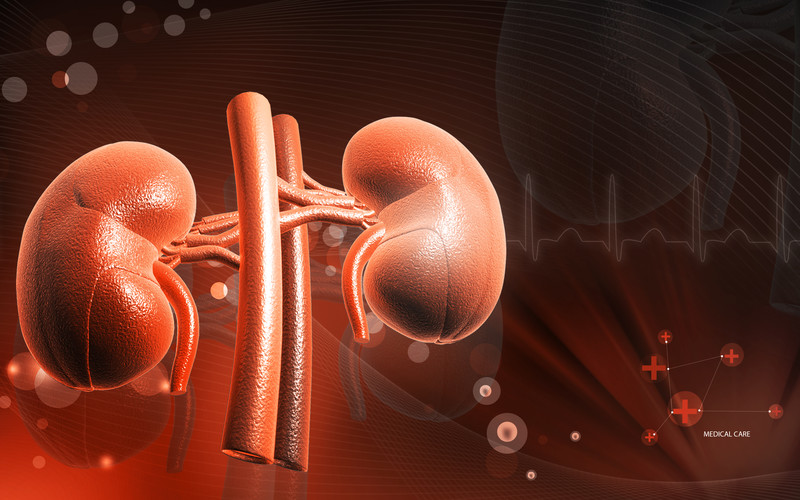 COPD in Edmonton | Comfort Keepers Edmonton | BLOG POST | computer generated graphic of a set of lungs