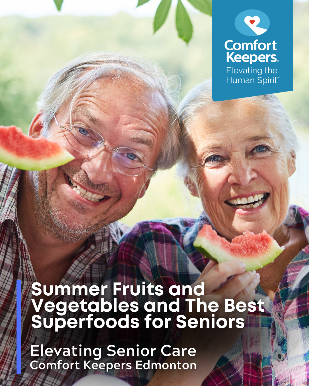 Summer Fruits and Vegetables and The Best Superfoods for Seniors 