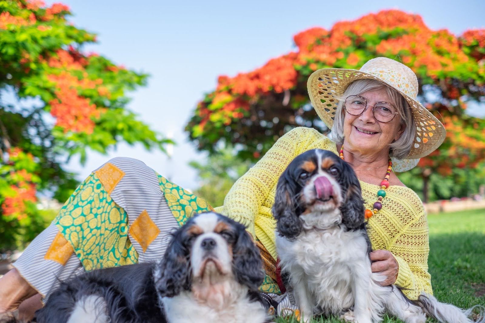 Happy senior woman petting a puppy, promoting companionship in Guelph