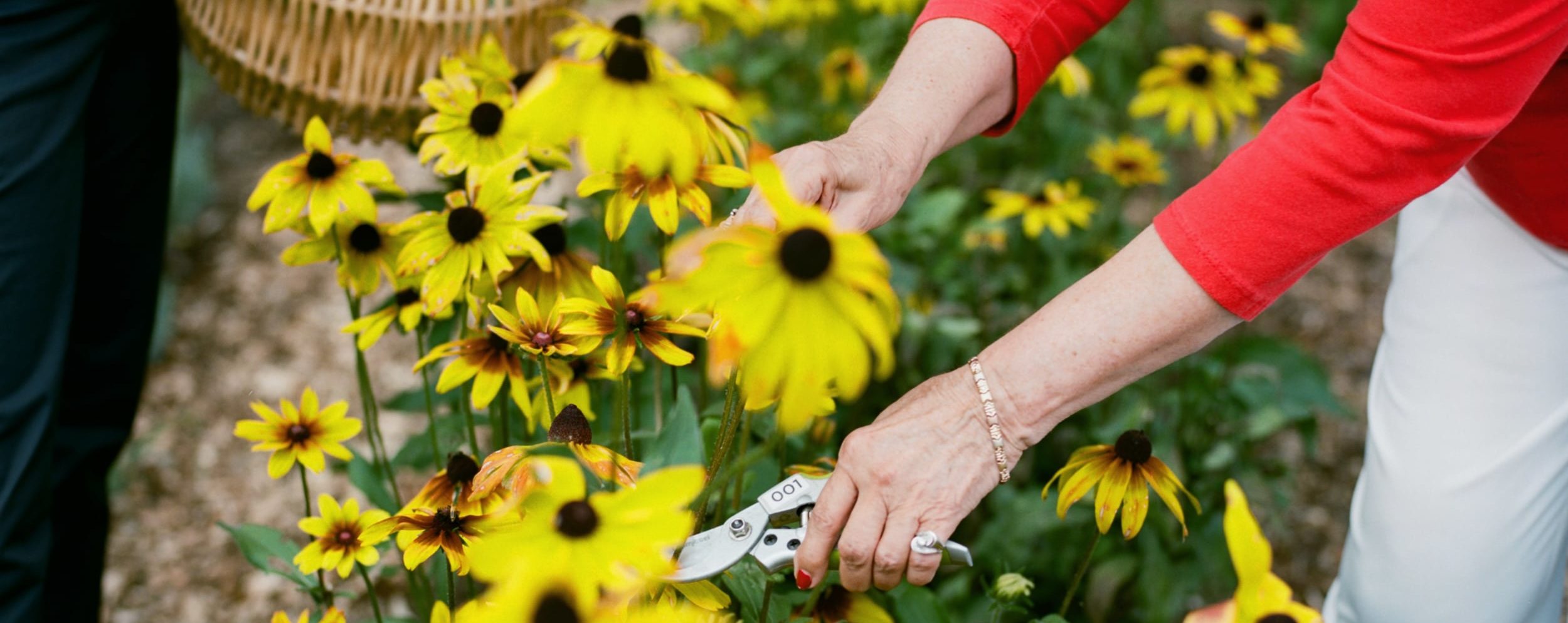 Ten Step Home Care Guide North Vancouver ON