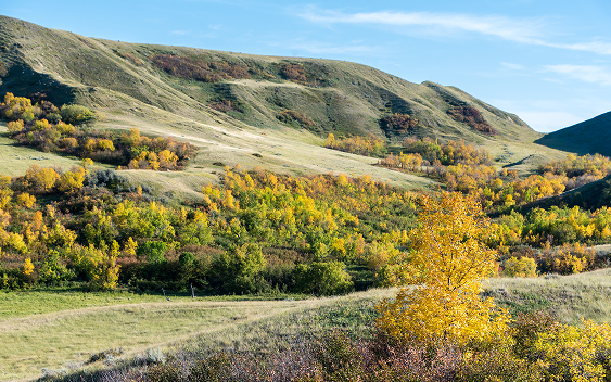 Weyburn, SK