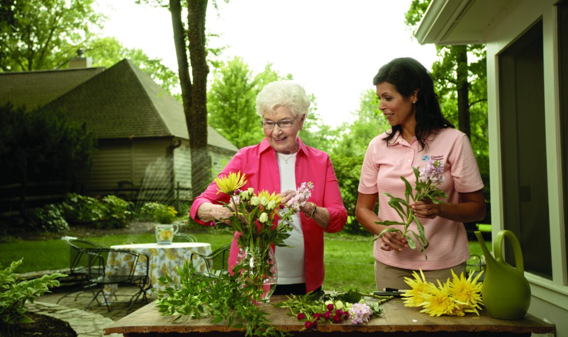 Heart-Healthy Foods Toronto’s Seniors Need In Their Diet