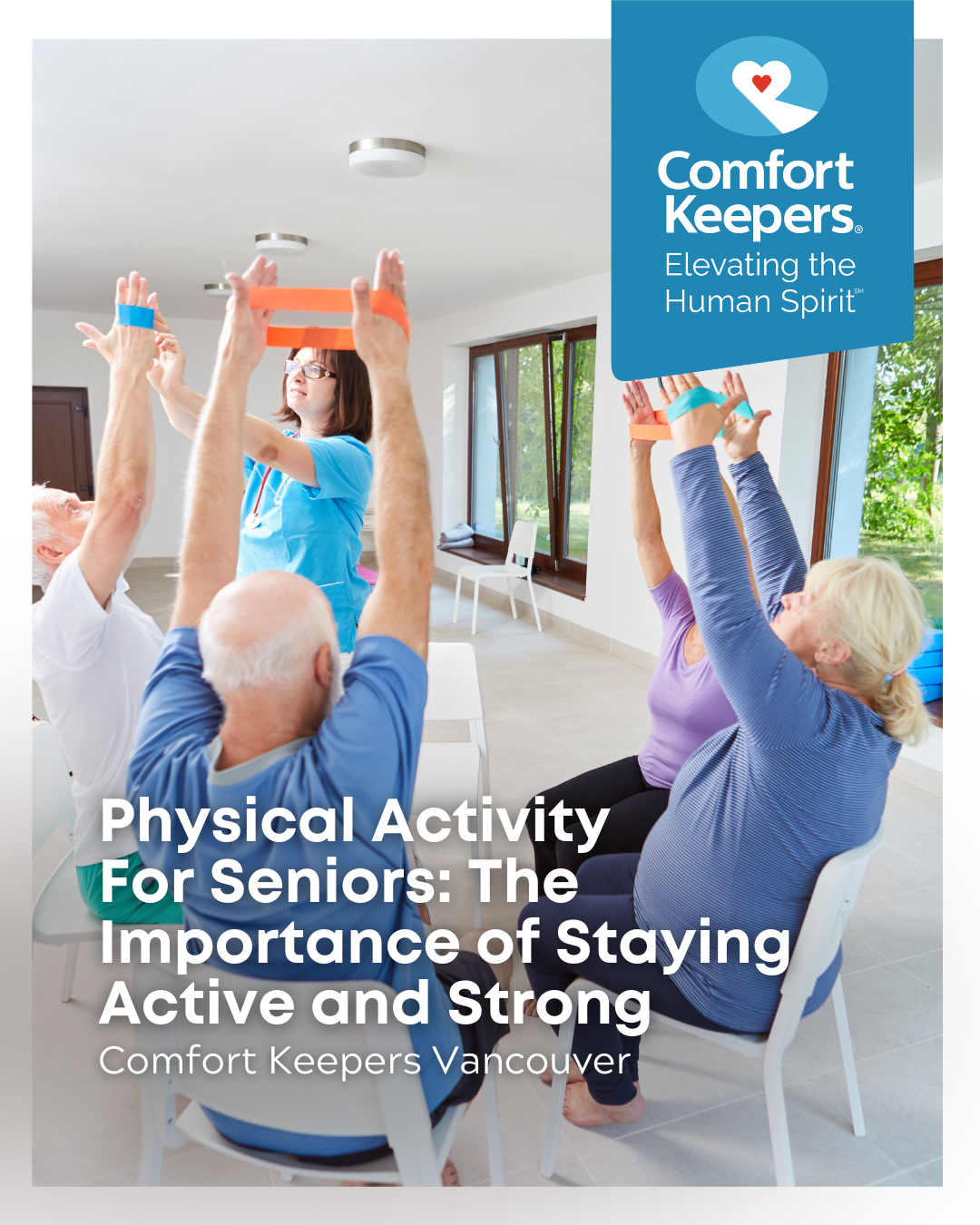 Group of seniors engaged in low impact exercises | Physical Activity for Seniors: The Importance of Staying Active and Strong | Comfort Keepers Vancouver | BLOG POST