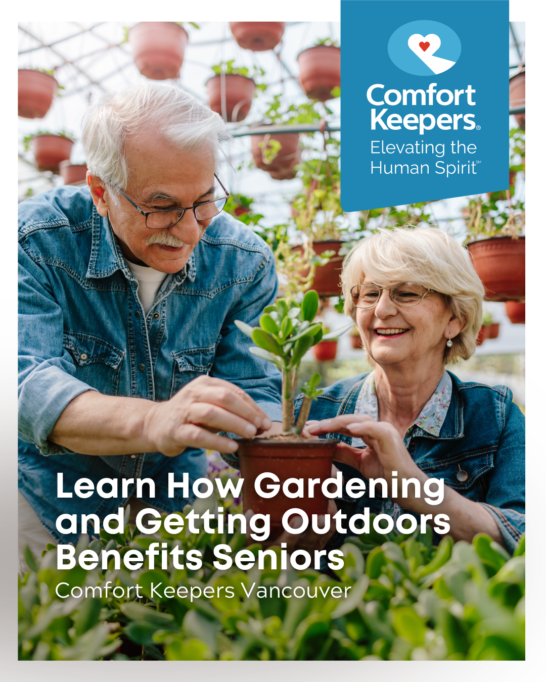 Senior couple enjoys their time in a greenhouse | Comfort Keepers Vancouver | Interactive In-Home Caregiving: Learn How Gardening and Getting Outdoors Benefits Seniors | BLOG POST