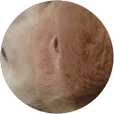 Heather Shana Burke profile picture