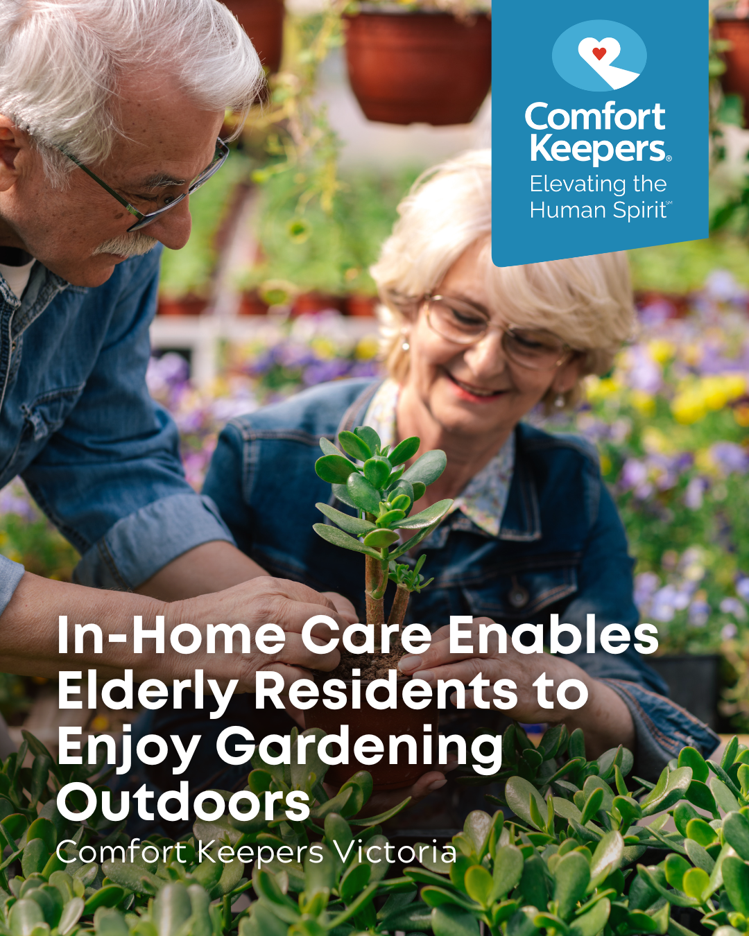 A senior couple gardens | In-Home Care Enables Elderly Residents to Enjoy Gardening Outdoors | Comfort Keepers Victoria | BLOG POST