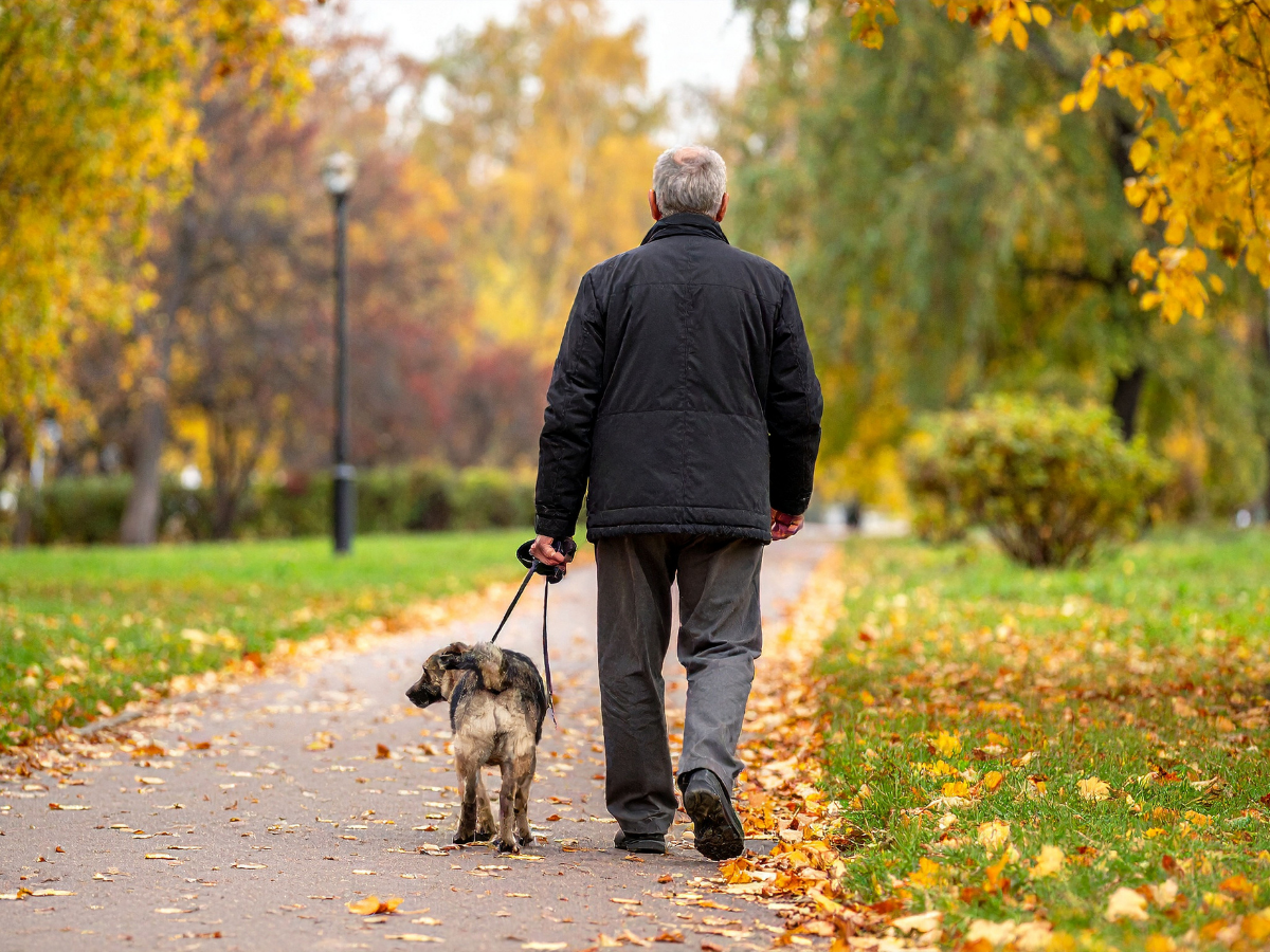 A senior male walking his dog in the fall | Fun-Filled Autumn and Winter Activities for Seniors | Comfort Keepers Victoria