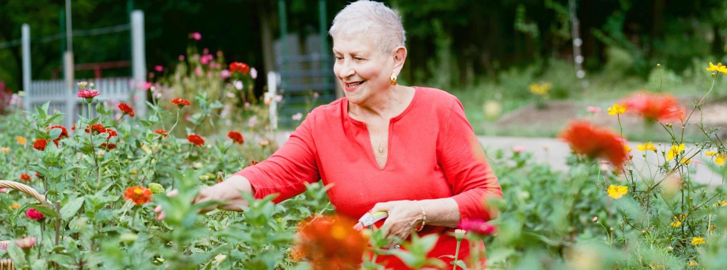 Comfort Keepers of Victoria is taking steps to keep seniors safe at