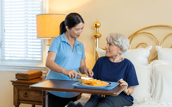 Palliative Care