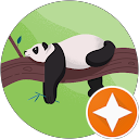 Donna Lam profile picture