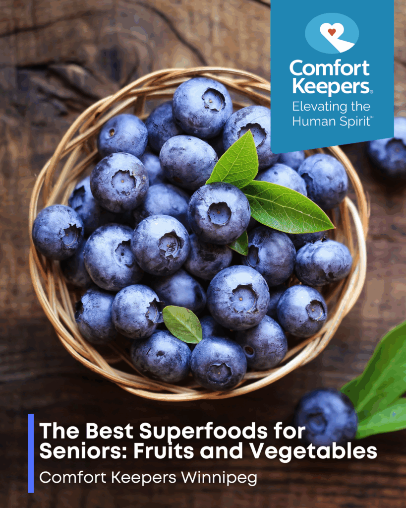 Bowl of blueberries | Comfort Keepers Winnipeg | The Best Superfoods for Seniors: Fruits and Vegetables | BLOG POST